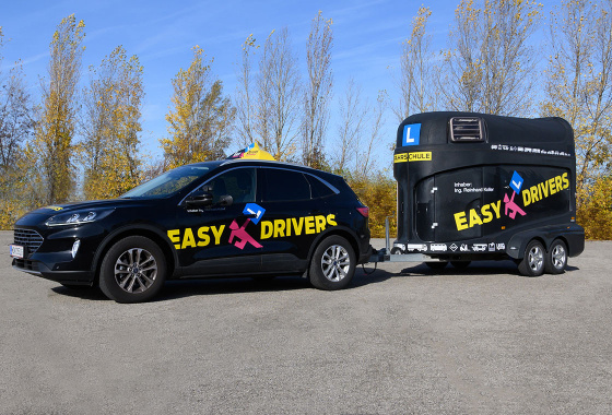 „BE & Code 96“ Anhänger